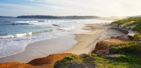 Window Repair and Maintenance for Allambie Heights Properties