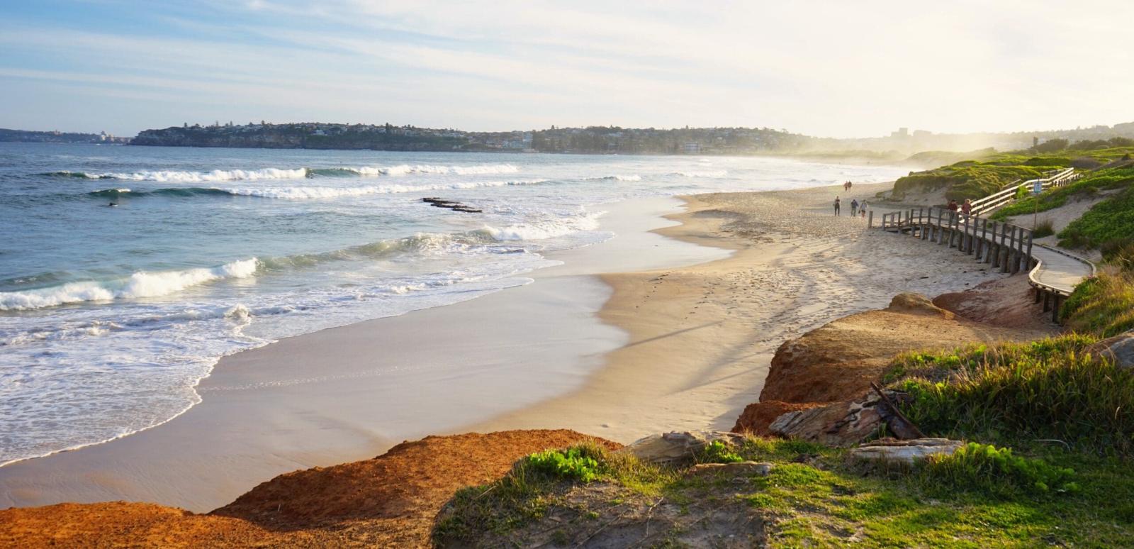 Window Repair and Maintenance for Allambie Heights Properties